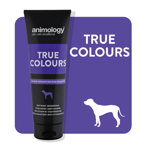 TRUE COLORS SHAMPOO 250ML