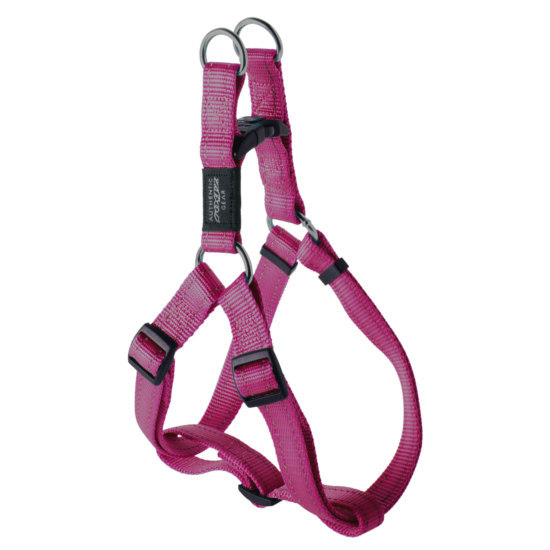 PEITORAL FANBELT L ROSA