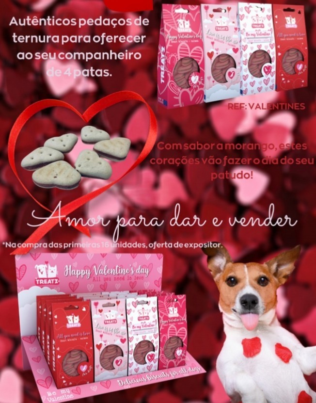 Biscoitos São Valentim salmão e morango