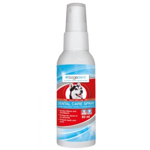 BOGADENT DENTAL SPRAY