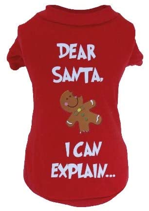 T-SHIRT CHRISTMAS DEAR SANTA 35CM