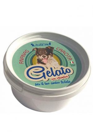 GELADO ANANÁS/CENOURA 60G