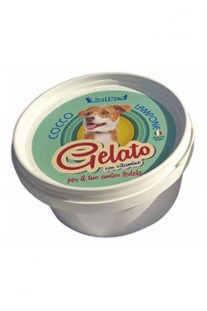 GELADO CÔCO/FRAMBOESA 60G