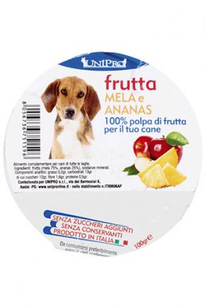 FRUTTA 100G MAÇÃ E ANANÁS