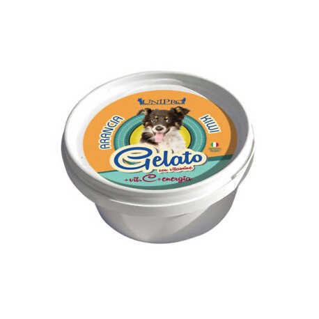 GELADO LARANJA/KIWI 60G