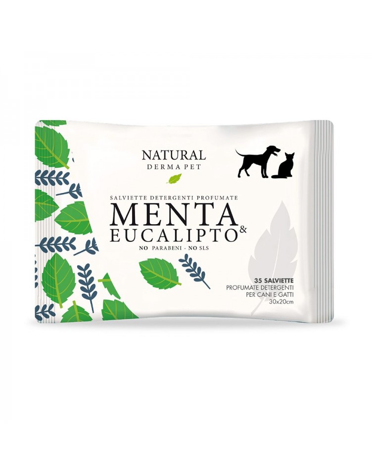 TOALHITAS MENTA/EUCALIPTO 35UN