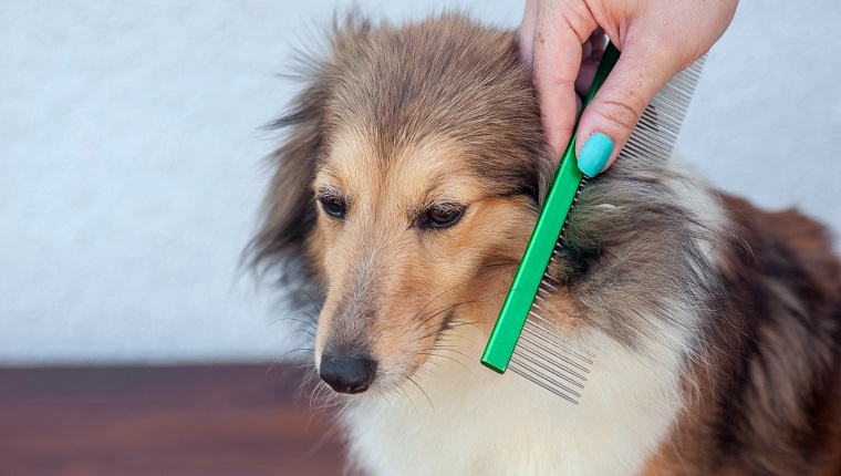 Use o pente para procurar nós